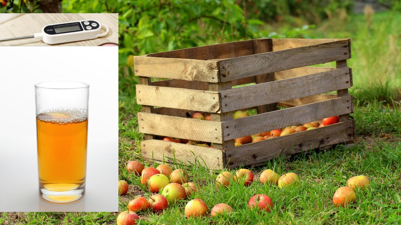 Comment #pasteuriser facilement du jus de fruit chez soi ? #diy