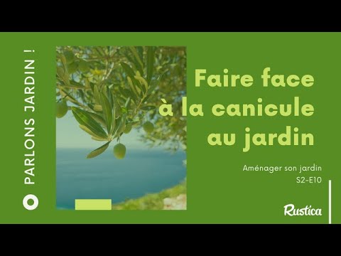 Quelles plantes pour un jardin méditerranéen ?
