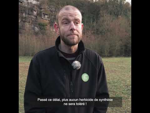 [Objectif 0 phyto] L'interdiction des herbicides sélectifs