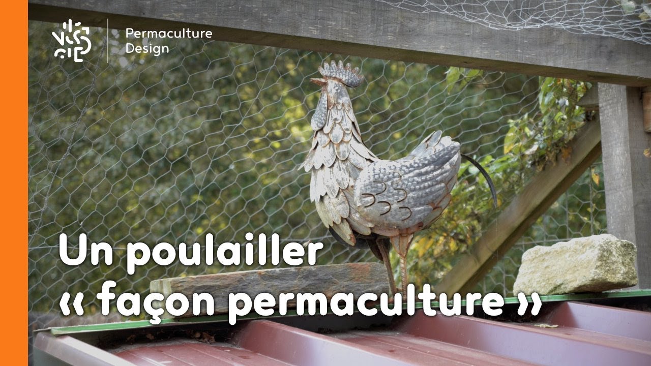 Un poulailler en permaculture