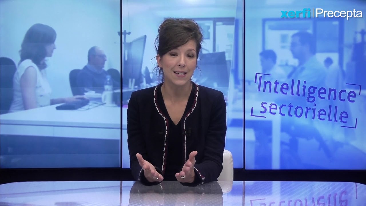 La distribution d'articles de bricolage et de jardinage à l'horizon 2022 [Mounia Van de Casteele]
