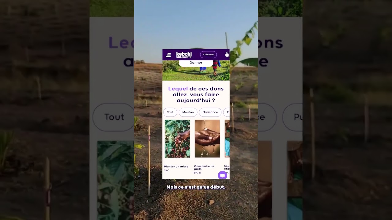 Plantation arbres fruitiers avec Kebchi !