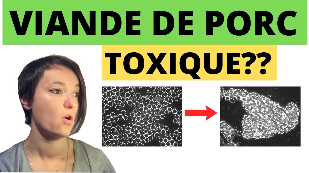 Toxicité de la viande de Porc : Comment préparer correctement le porc