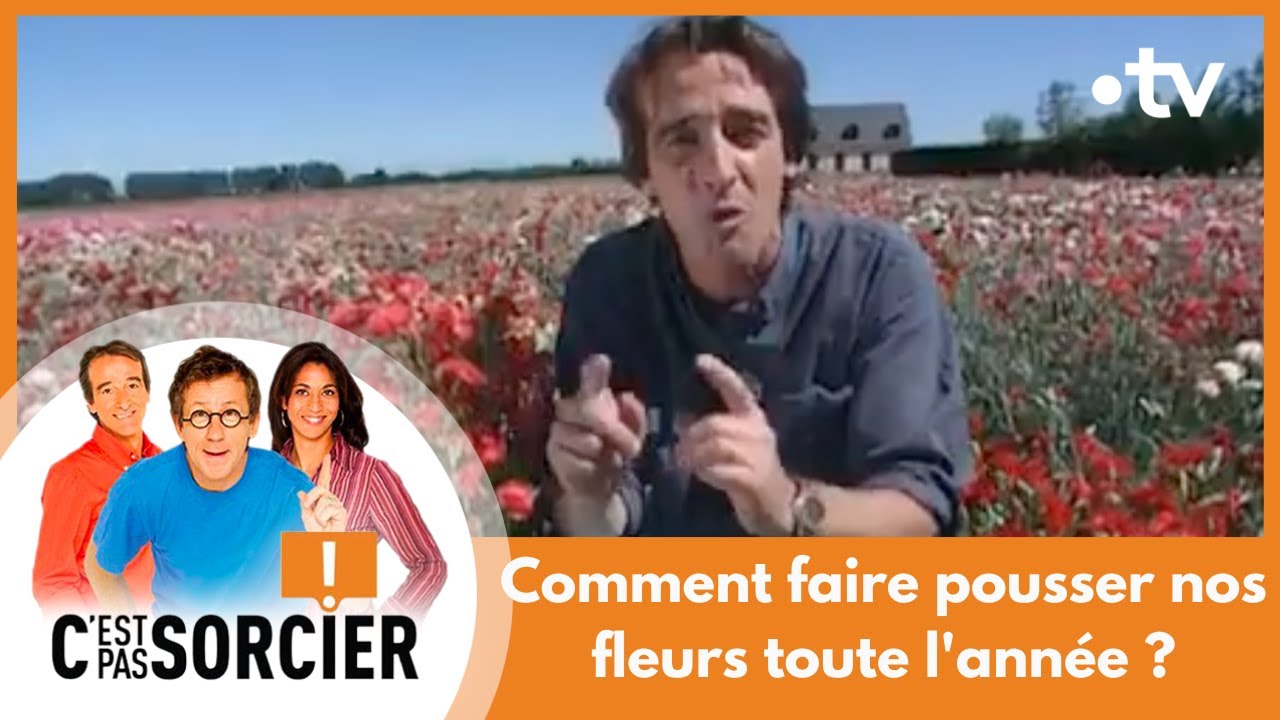 Comment faire pousser nos fleurs toute l'année ? - C'est pas sorcier