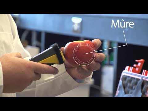 Douce science, nouvel appareil pour déterminer la maturité des pommes