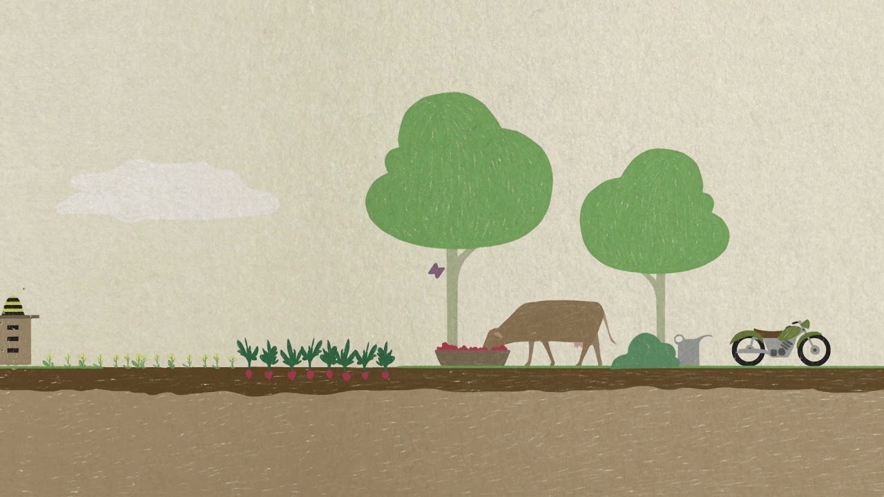 Les principes de l'agriculture biologique