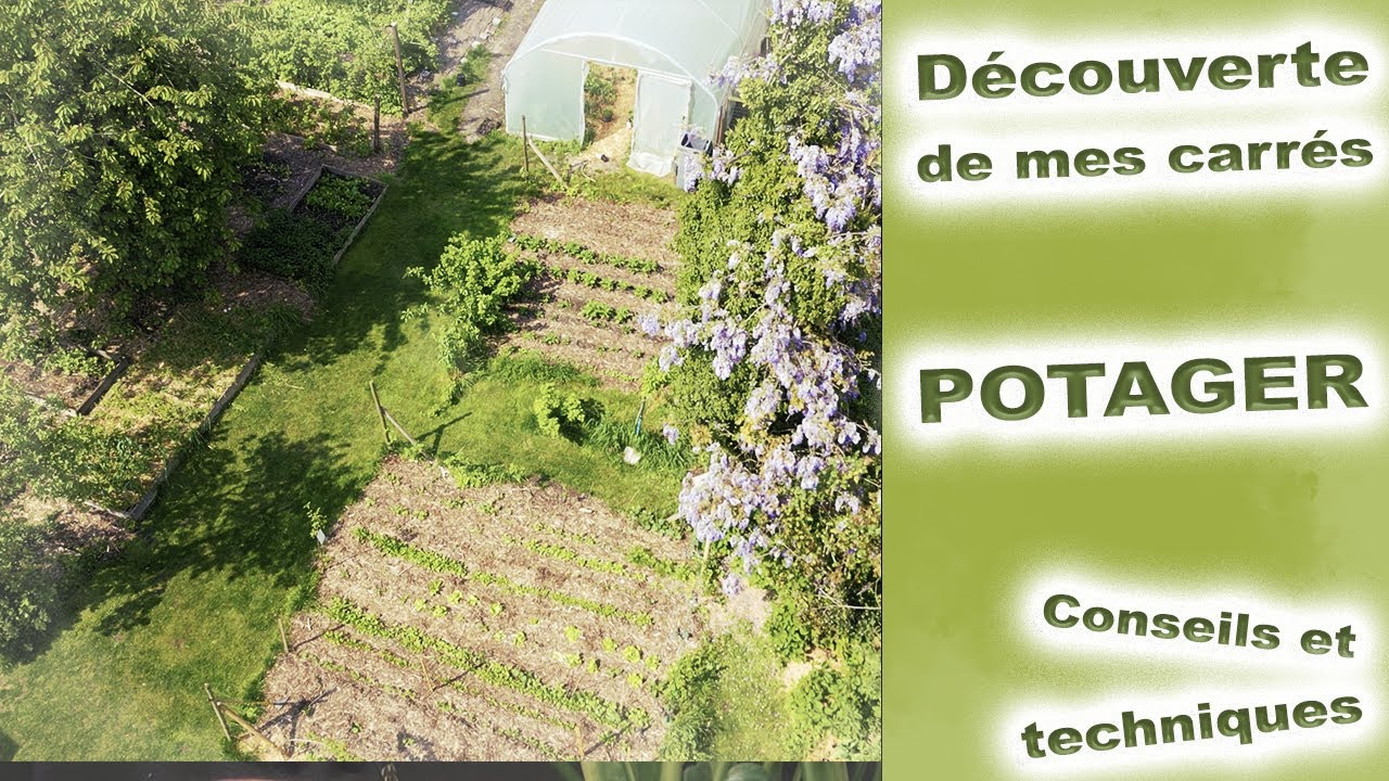 Découverte des carrés potager : Mes conseils et mes techniques