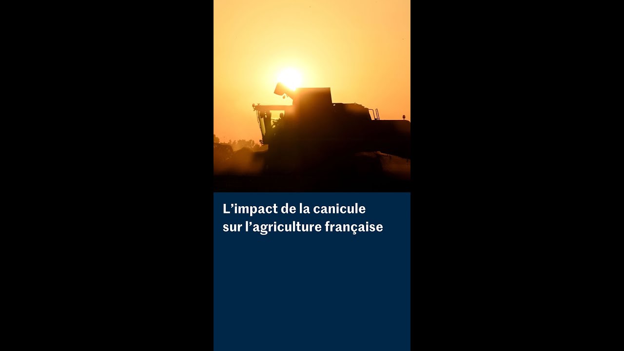 Canicules : l’agriculture française doit songer à se réinventer