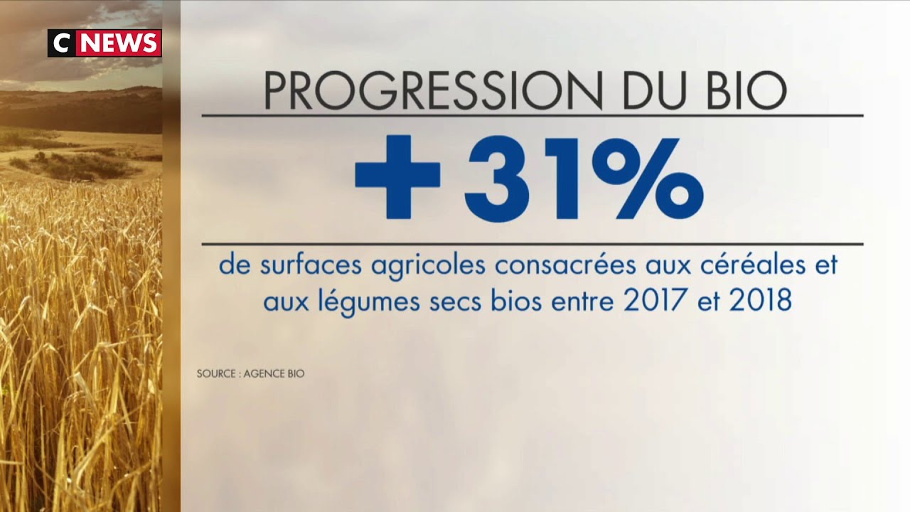 L’agriculture bio en plein essor en France