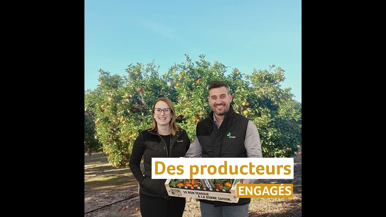 La clémentine Espagnole 100% EXPERTS Terroirs