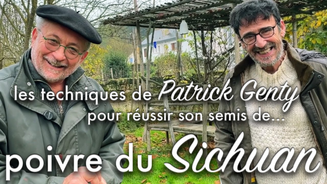 Le semis de poivre du Sichuan avec Patrick Genty.