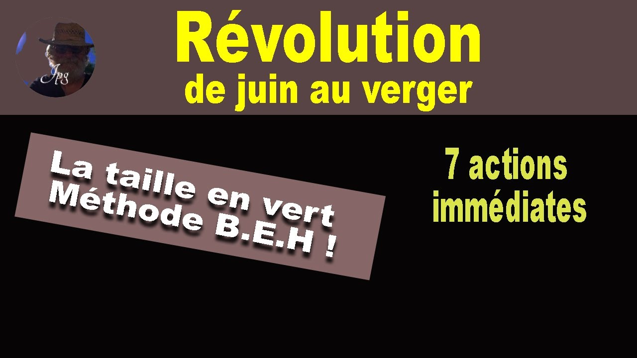 Réussir les travaux de juin au verger avec la taille en vert ou taille d'été