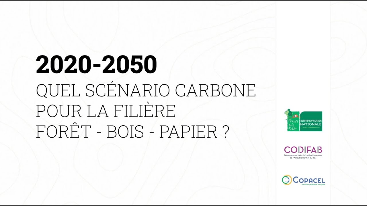 2020-2050 : quel scénario carbone pour la filière forêt-bois?