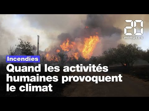 Incendies, canicules, sécheresse : Quand les activités humaines provoquent le climat