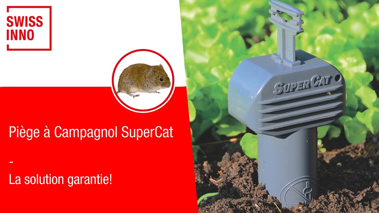Piège à Campagnol SuperCat SWISSINNO