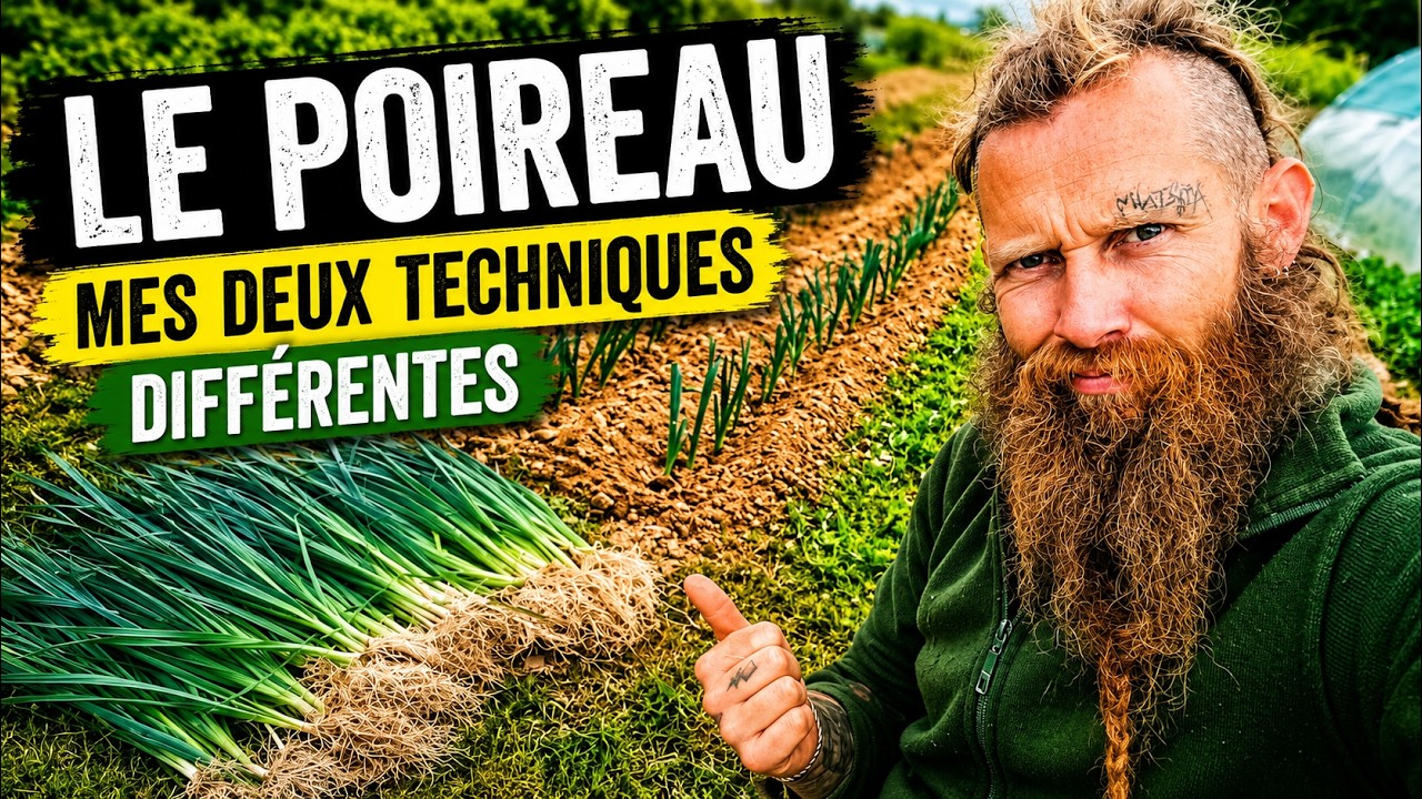 Comment obtenir de beaux poireaux avec 2 techniques différentes ?