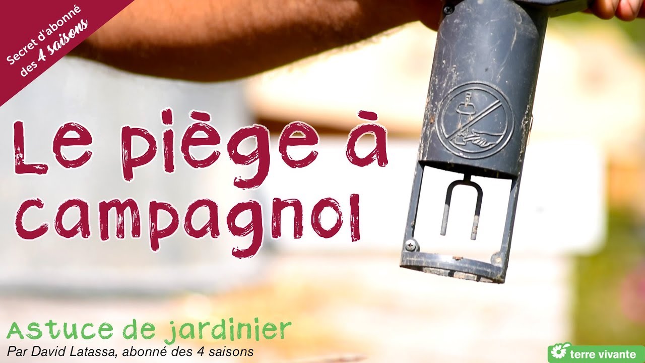Le piège à campagnol - Astuce de jardinier
