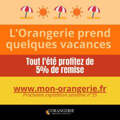 L'orangerie prend quelques vacances ⛱☀️ 🍋⚡Tout l'été profitez de 5% de remise en précommandant sur www.mon-orangerie.fr Prochaine expédition semaine n°35