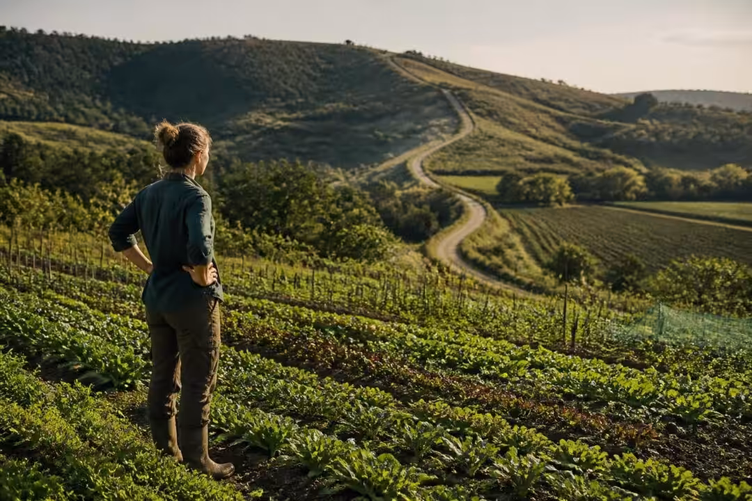 découvrez les défis et enjeux de l'agriculture biologique face aux objectifs légaux encore loin d'être atteints.