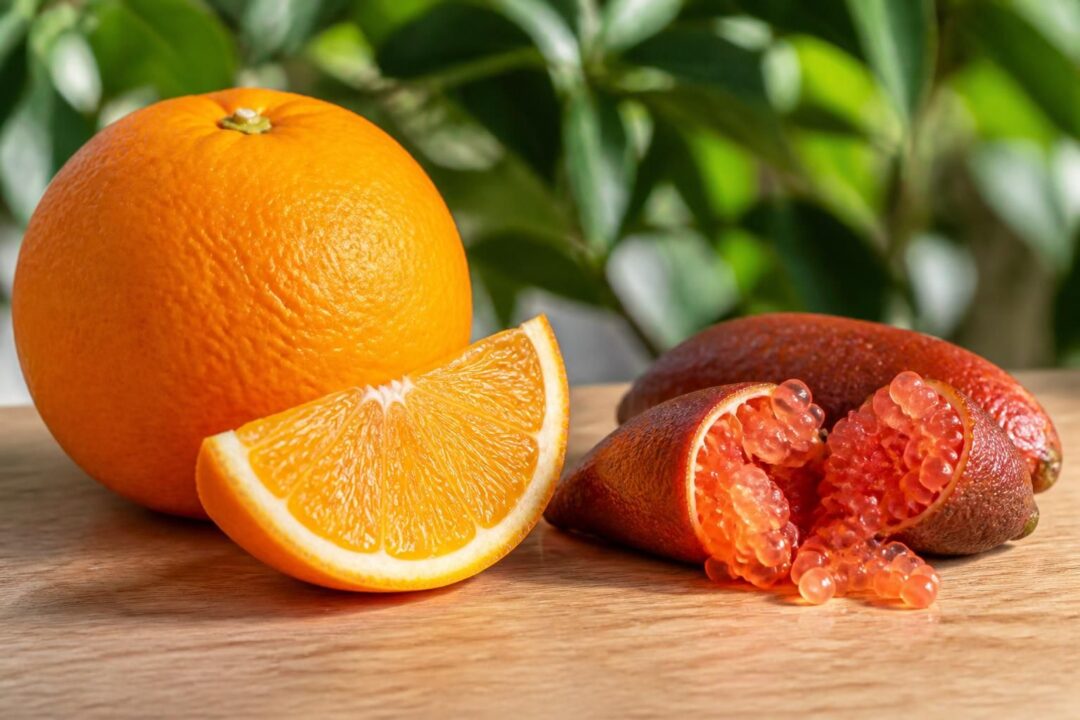 découvrez l'origine, la saveur unique de l'eremorange et de l'orange caviar, ainsi que nos conseils pour bien conserver ces fruits délicats.