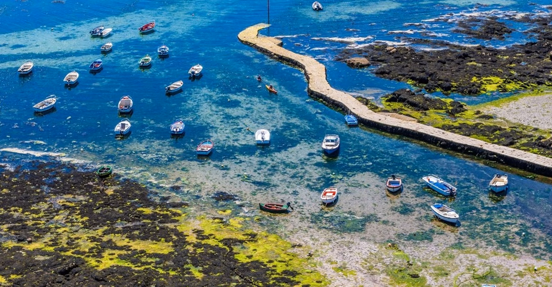 « On le refera à la maison » : aux Jardins de la Mer du Croisic, l’algue se déguste sous toutes ses formes