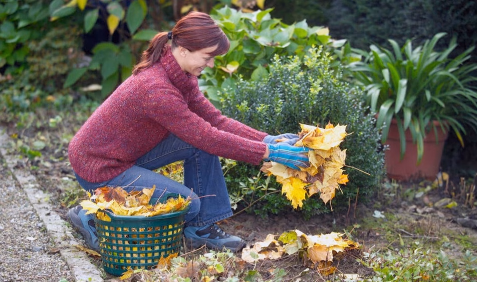 gestes essentiels à réaliser au jardin avant la rentrée pour profiter d’un automne serein
