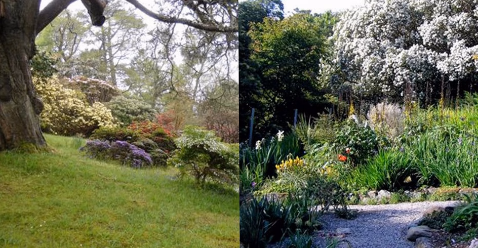 À Sens-de-Bretagne, le jardin partagé s’épanouit et rêve d’extension !