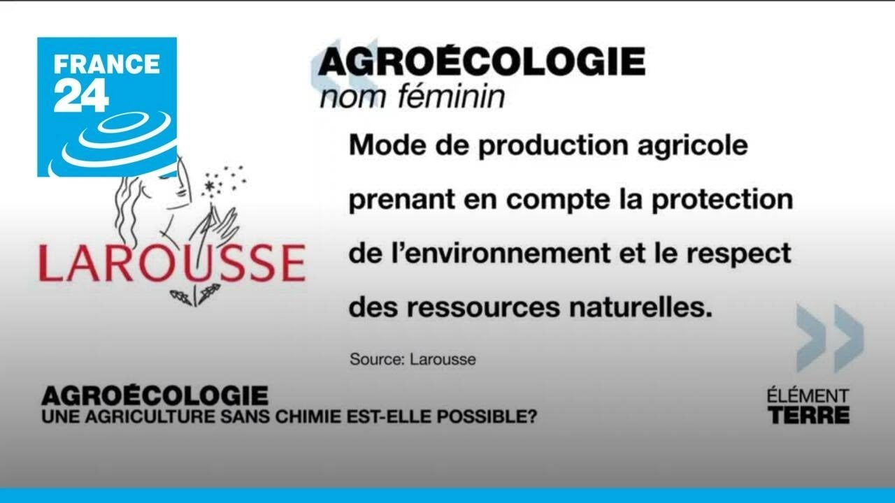 L'agroécologie, une agriculture sans pesticides: utopie ou nécessité? • FRANCE 24