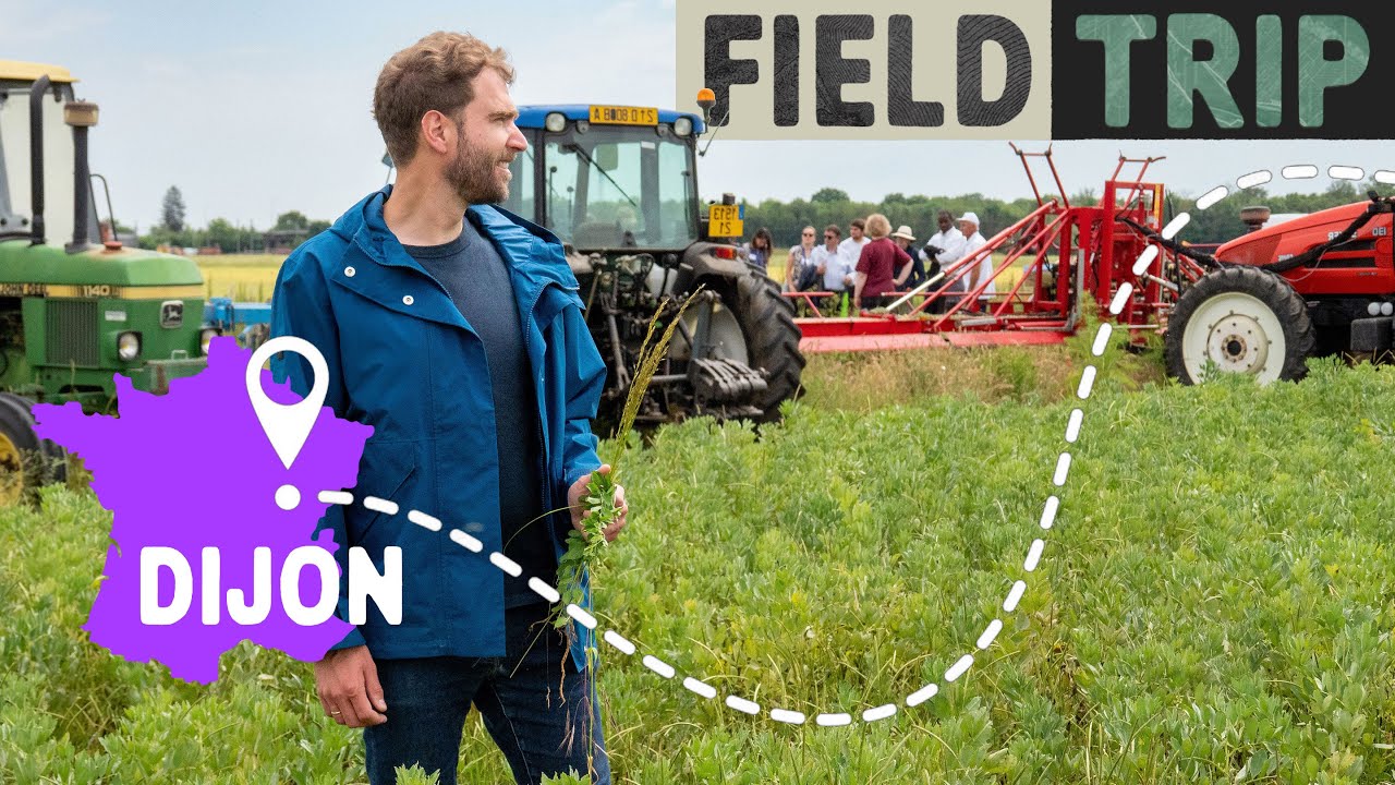 Ferme expérimentale sans pesticides CA-SYS : la recherche 🇪🇺 fait disruption