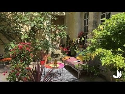 Créez votre mini jardin méditerranéen au jardin ou sur la terrasse-  Truffaut