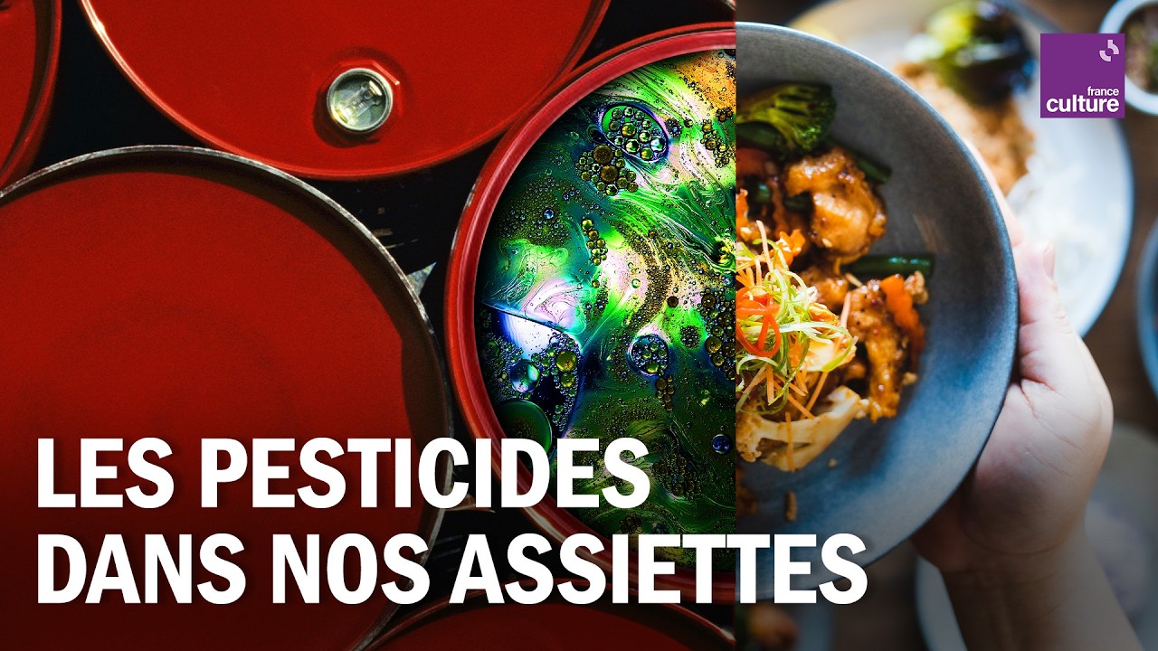 PEUT-ON NOURRIR LA FRANCE SANS PESTICIDES ?