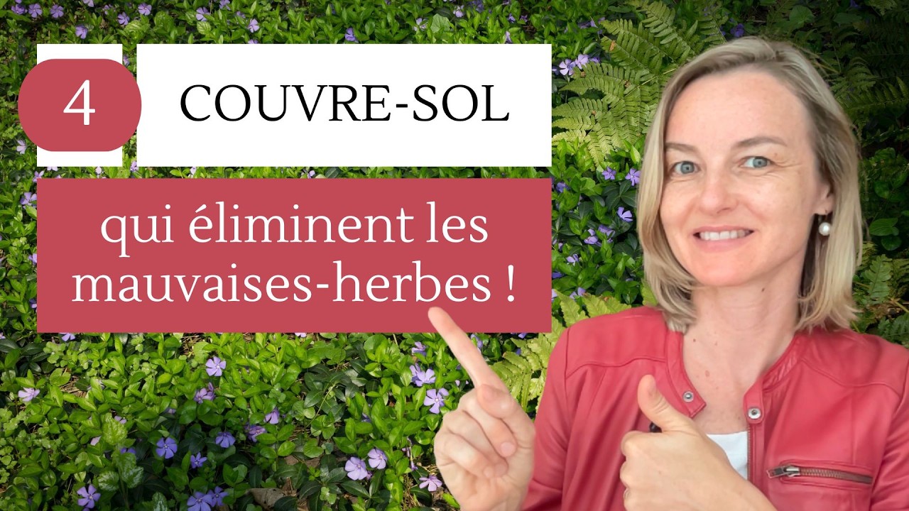 4 PLANTES COUVRE-SOL qui éliminent les mauvaises herbes SANS désherbant (et c’est beau !)