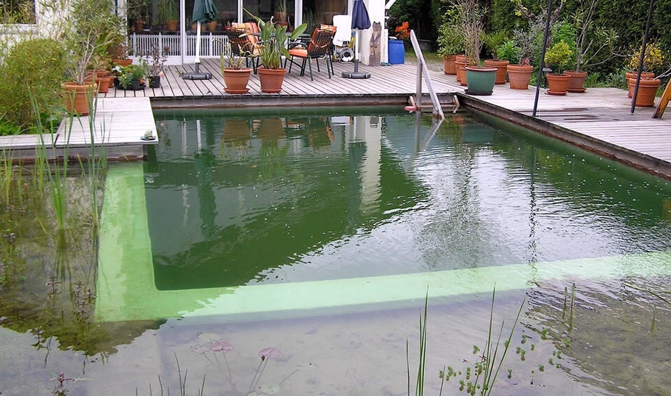 Photo — Un jardin verdoyant et une piscine élégante pour une villa d'exception